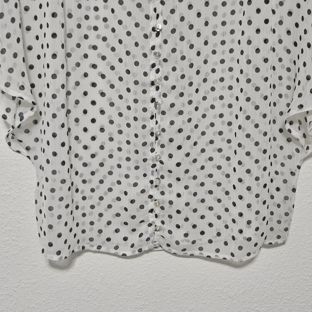 Freebird sheer top see description for sizing